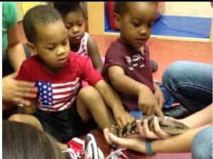 Memorial Day Nursery