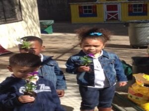 Memorial Day Nursery